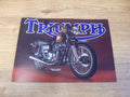 TRIUMPH SALES BROCHURE POSTER T140ES BONNEVILLE ELECTRIC START 1980 - TRI-SB-80